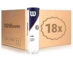 Wilson Roland Garros All Court 4 Ball Tube