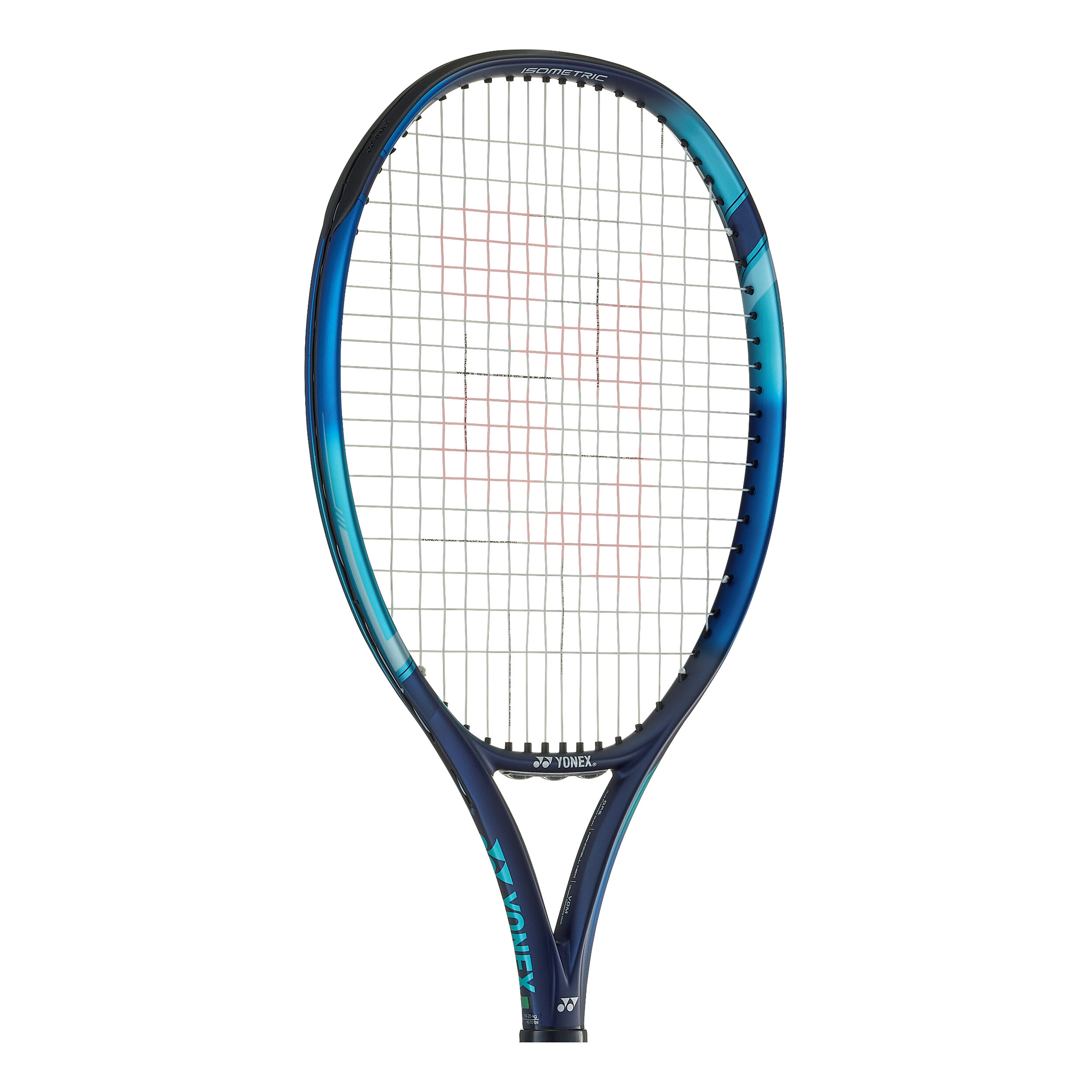 EZONE 110