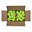 Triniti Club 72er Ballbox